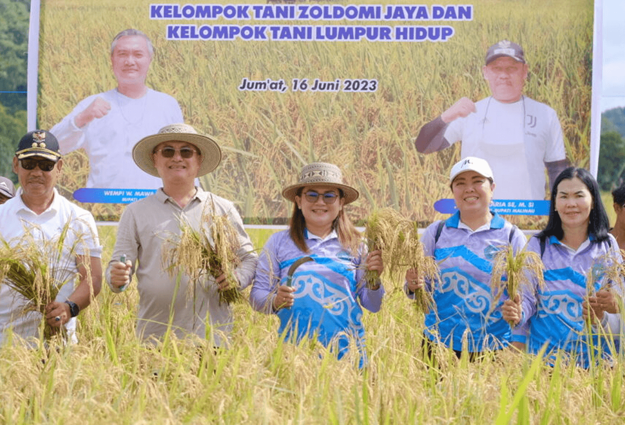 Ilustrasi pertanian Kabupaten Malinau