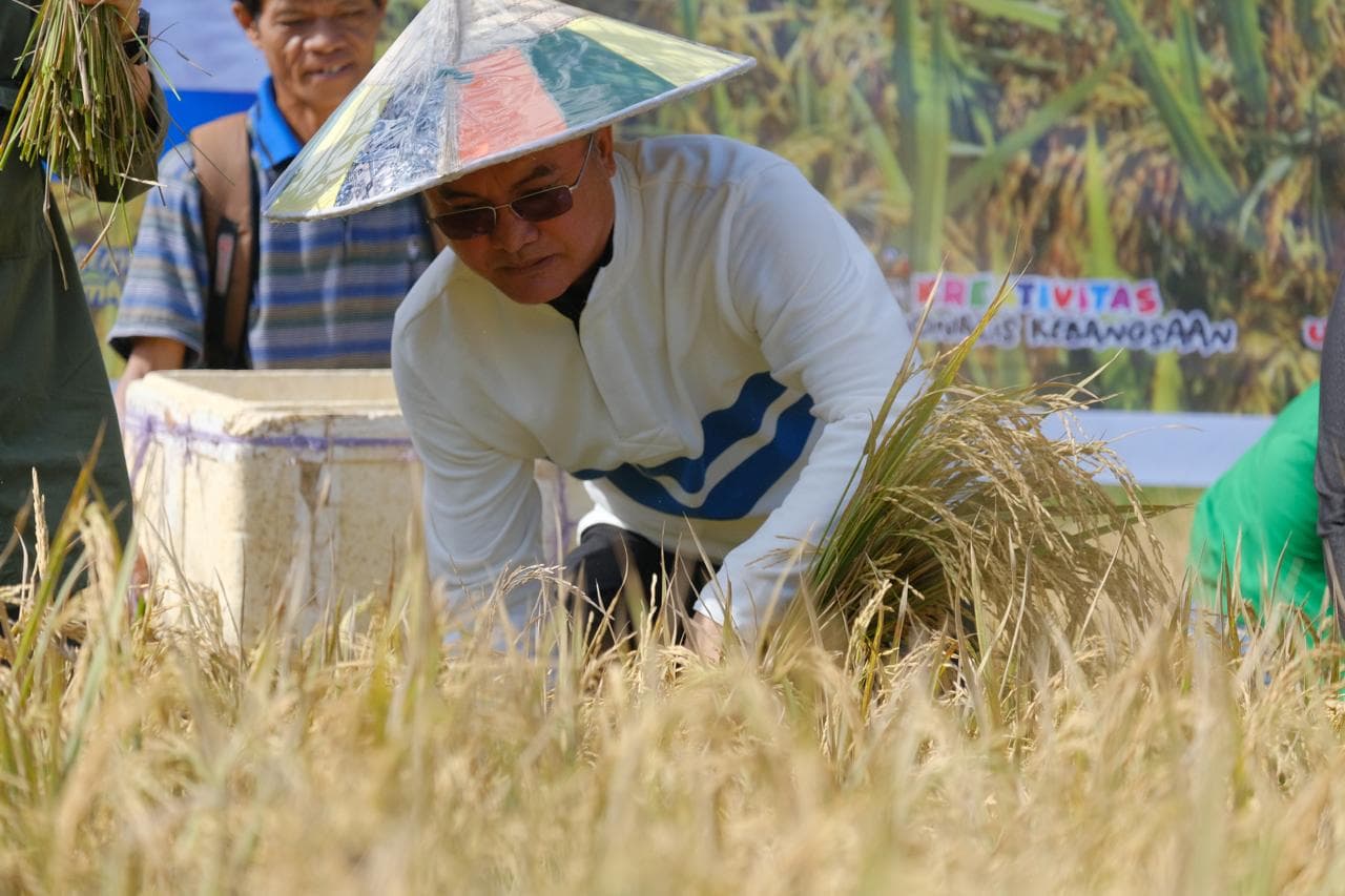 Petani dan aparatur menunjukkan hasil panen jagung di ladang Kabupaten Malinau